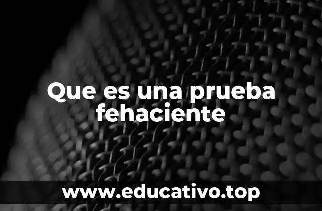 Que es una prueba fehaciente