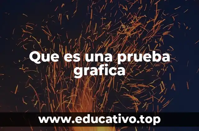 Que es una prueba grafica