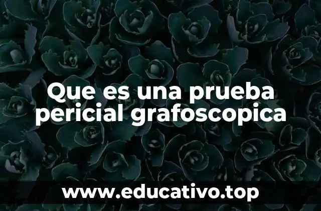 Que es una prueba pericial grafoscopica