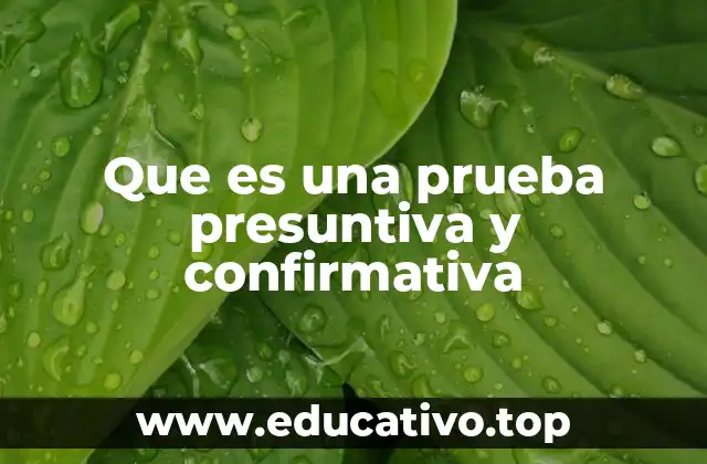 Que es una prueba presuntiva y confirmativa