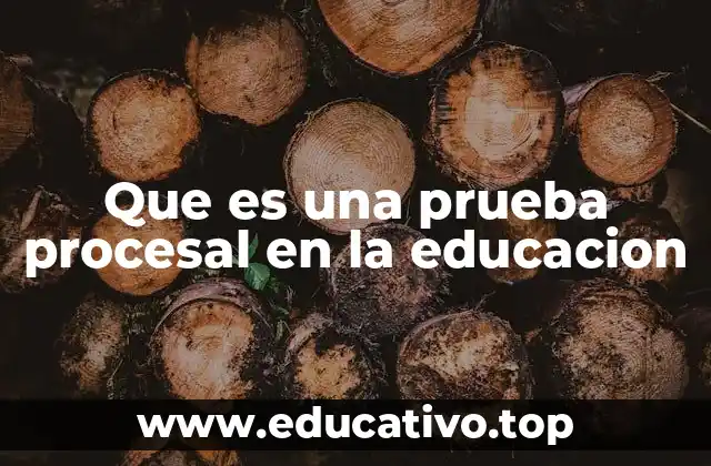 Que es una prueba procesal en la educacion