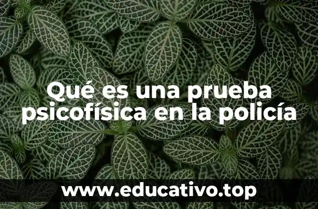 Qué es una prueba psicofísica en la policía