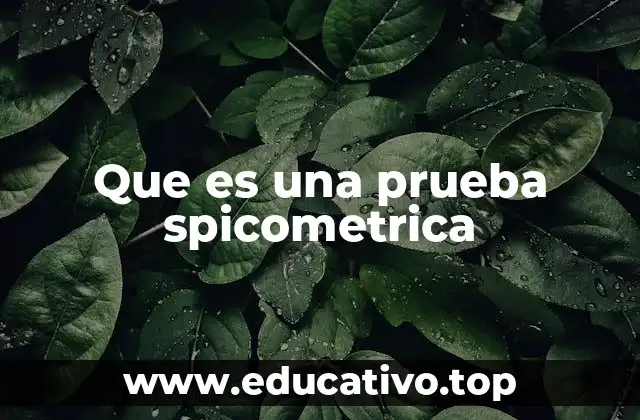 Que es una prueba spicometrica