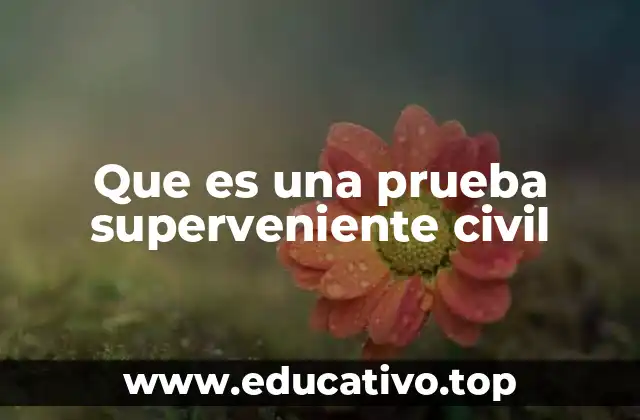 El rol de la prueba superveniente en la justicia civil