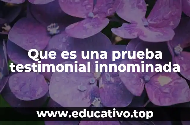 Que es una prueba testimonial innominada