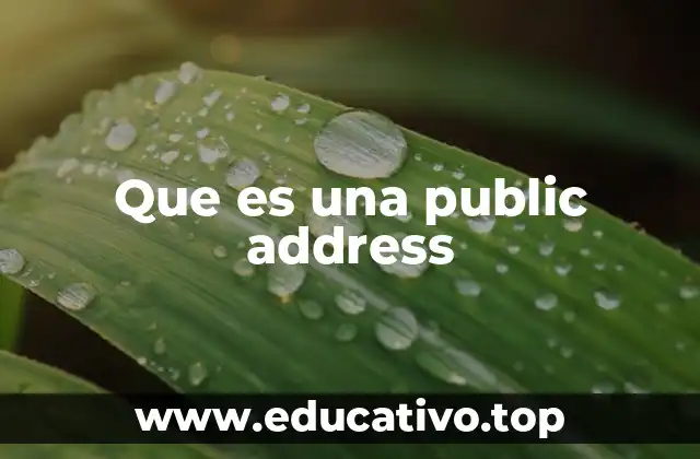 Que es una public address