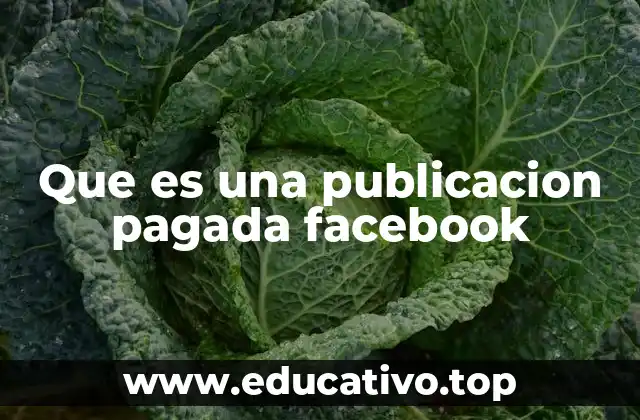 Que es una publicacion pagada facebook