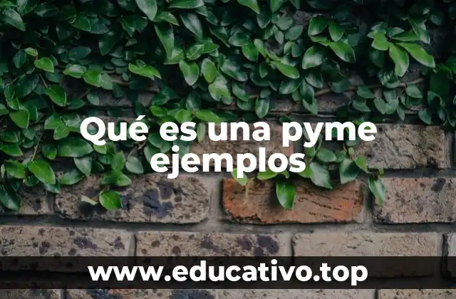 Qué es una pyme ejemplos