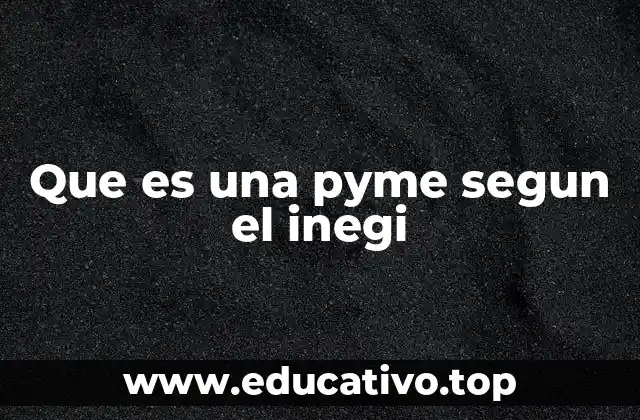 Que es una pyme segun el inegi