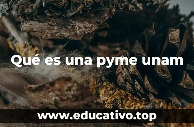 Qué es una pyme unam