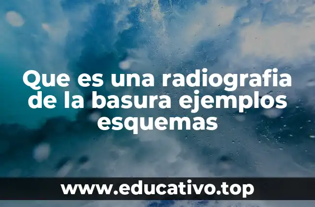 Que es una radiografia de la basura ejemplos esquemas