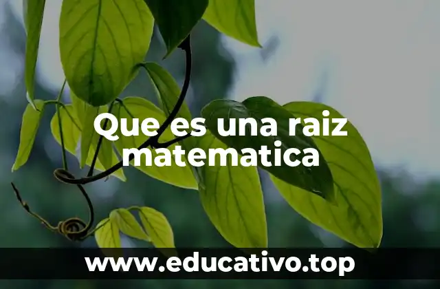 ¿Cómo se relacionan las raíces con las potencias?