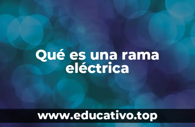 Qué es una rama eléctrica