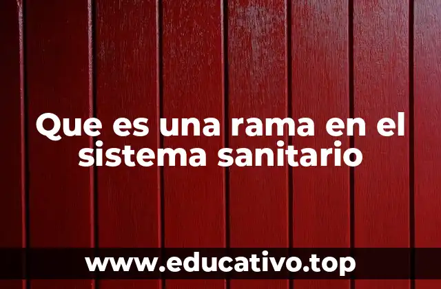 Que es una rama en el sistema sanitario