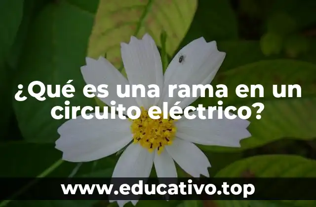 ¿Qué es una rama en un circuito eléctrico?