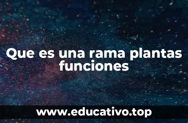 Que es una rama plantas funciones