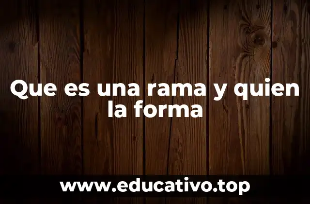 Que es una rama y quien la forma