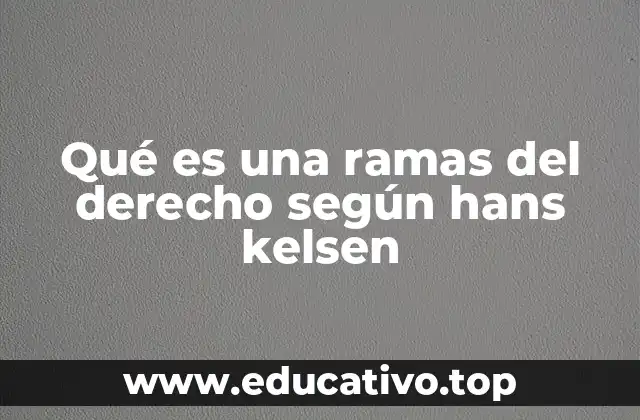 Qué es una ramas del derecho según hans kelsen