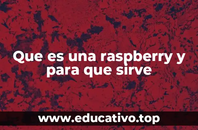 Que es una raspberry y para que sirve