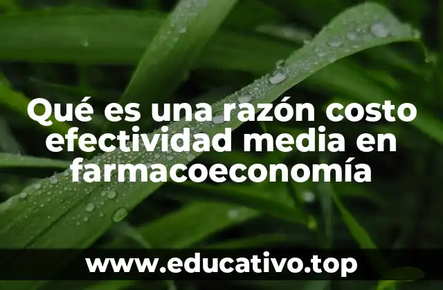 Qué es una razón costo efectividad media en farmacoeconomía
