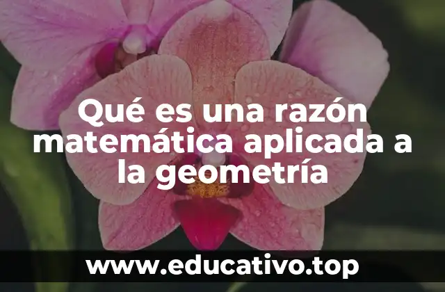 Qué es una razón matemática aplicada a la geometría