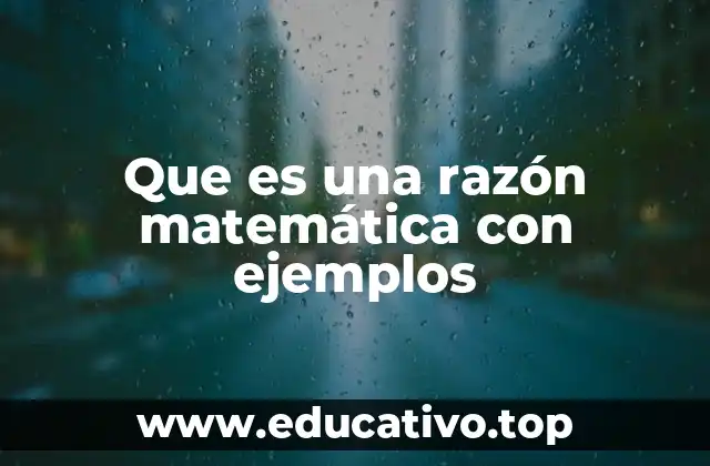 La importancia de las razones en la vida cotidiana