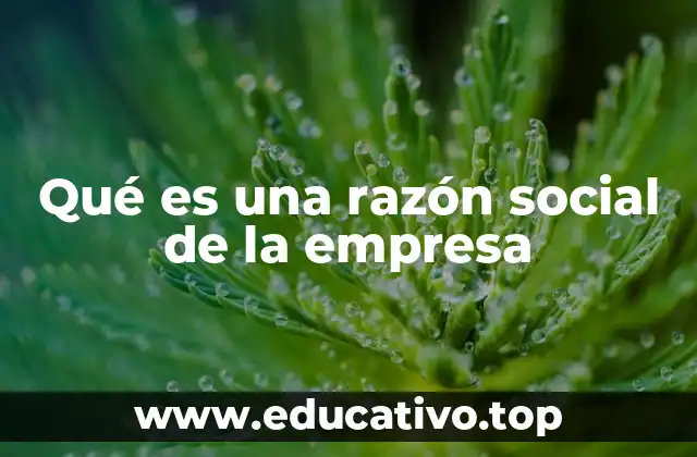 Qué es una razón social de la empresa
