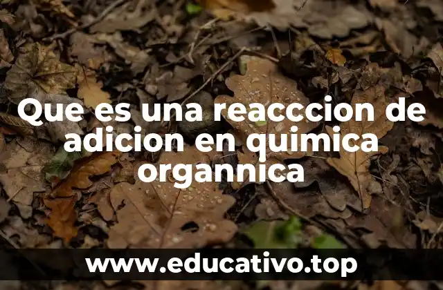 Que es una reacccion de adicion en quimica organnica