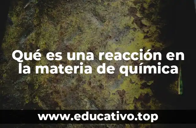 Qué es una reacción en la materia de química