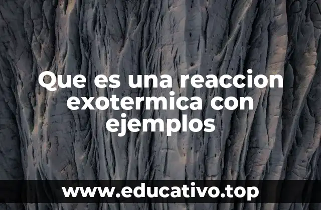 Que es una reaccion exotermica con ejemplos