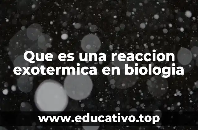 Que es una reaccion exotermica en biologia