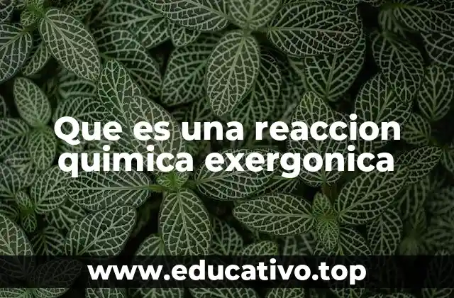 Que es una reaccion quimica exergonica