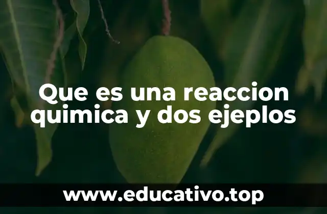 Que es una reaccion quimica y dos ejeplos