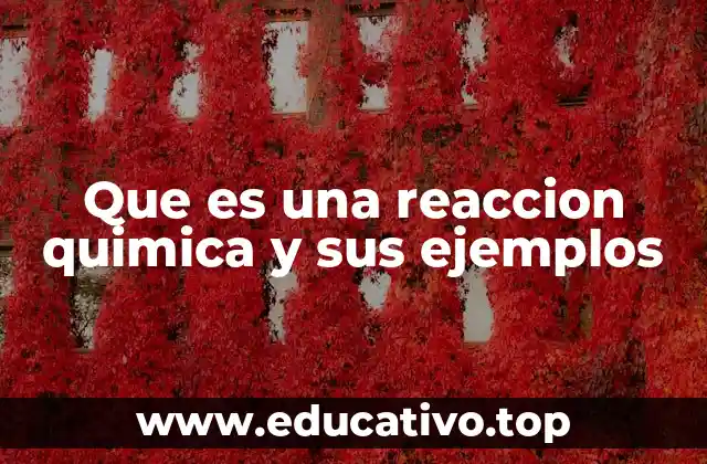 Que es una reaccion quimica y sus ejemplos