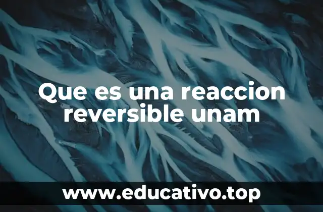 Que es una reaccion reversible unam