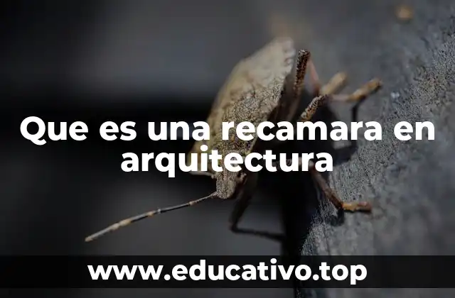 Que es una recamara en arquitectura