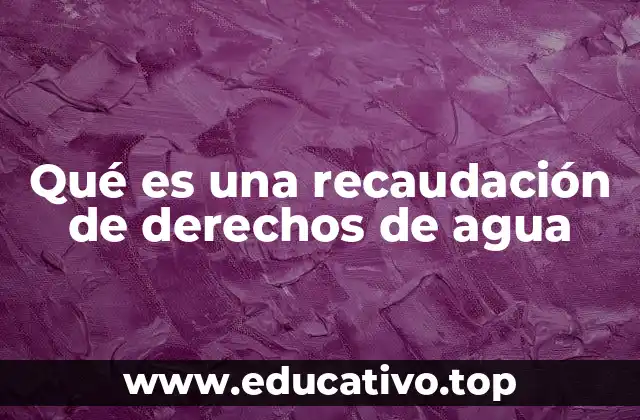 Qué es una recaudación de derechos de agua