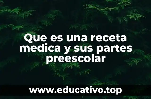 Que es una receta medica y sus partes preescolar