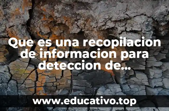 Que es una recopilacion de informacion para deteccion de necesidades