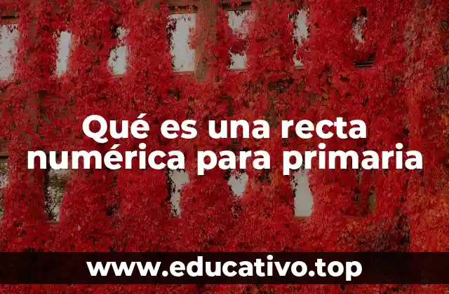 Qué es una recta numérica para primaria