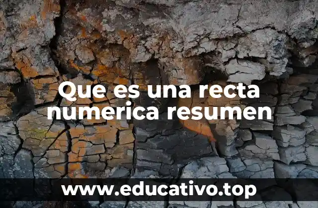 Que es una recta numerica resumen
