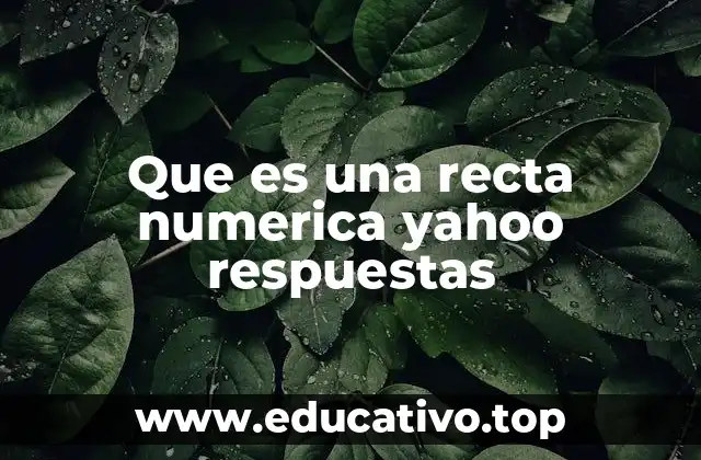 Que es una recta numerica yahoo respuestas