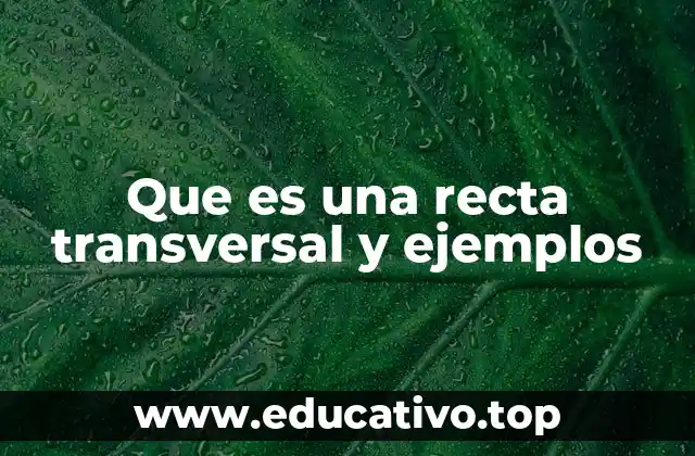 Que es una recta transversal y ejemplos