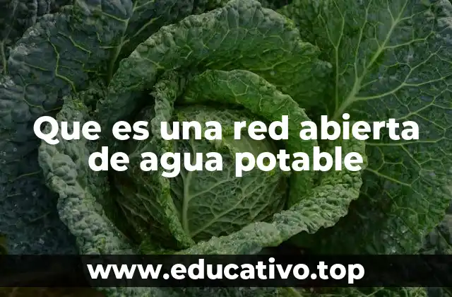 Que es una red abierta de agua potable