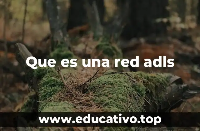 Que es una red adls