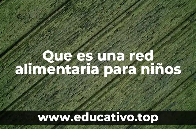 Que es una red alimentaria para niños