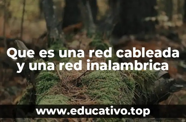 Que es una red cableada y una red inalambrica
