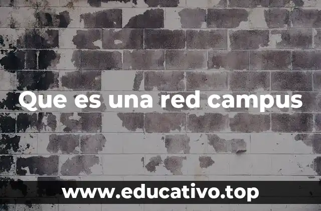 Que es una red campus