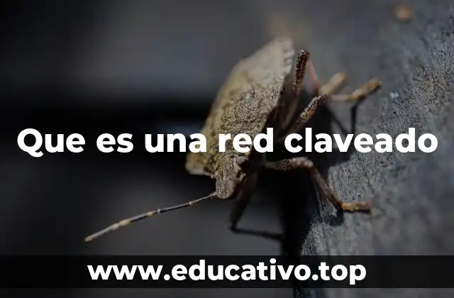 Diferencias entre una red claveado y una red abierta