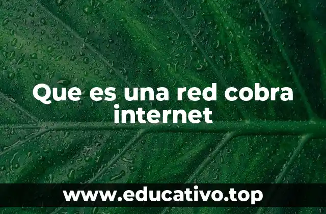 Que es una red cobra internet